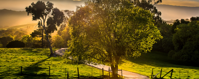 South Santa Clara County